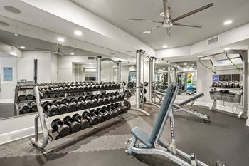 Free weights
